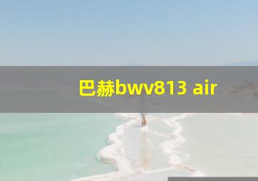 巴赫bwv813 air